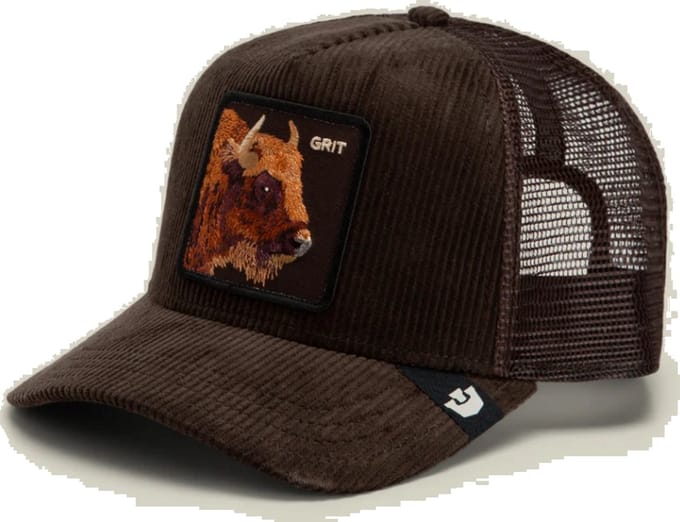 Goorin Bros. Corduroy Grit Trucker cap - Ground