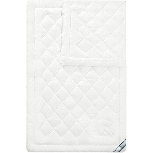 f.a.n. 4-seizoenendekbed biologisch katoen (155 x 220 cm)
