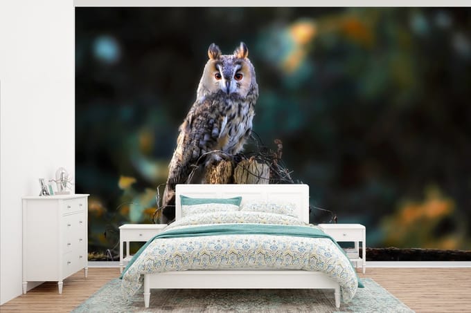 Behang - Fotobehang Uil - Herfst - Vogel - Takken - Breedte 405 cm x hoogte 260 cm