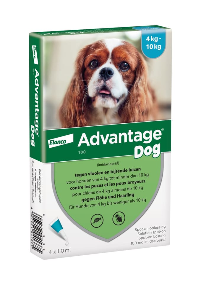 4 Pipetten Advantage 100 voor honden van 4-10kg - BE
