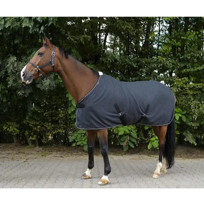 Paardenhemd Equithème