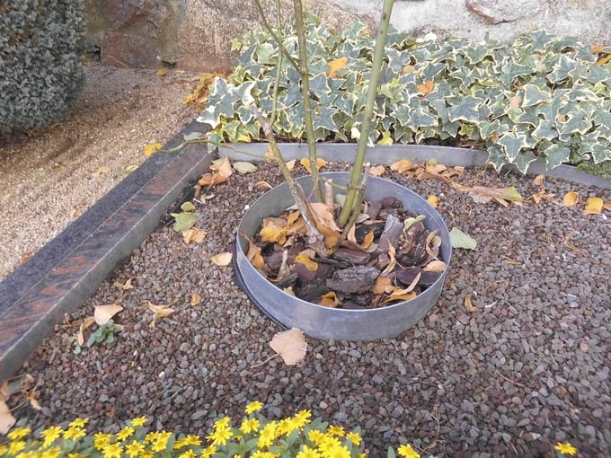 Gazonrandband - borderbegrenzing - 25 cm hoog - rol - verschillende lengtes