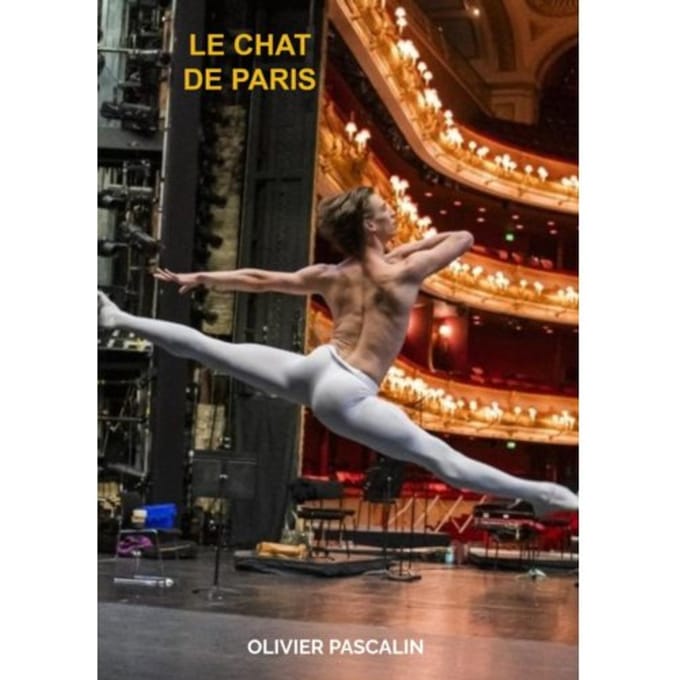 Le Chat De Paris - Olivier Pascalin