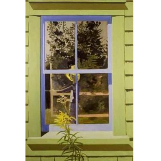 Lois Dodd - Contemporary Painters Series - Faye Hirsch