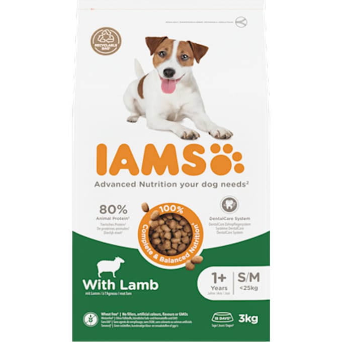 Iams Dog Adult Small - Medium Lam 3 kg