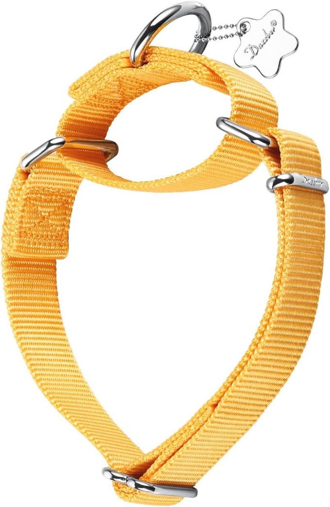 Verstelbare Martingale Halsband voor Honden - Duurzaam Nylon, Felgeel, Medium (36-53 cm)