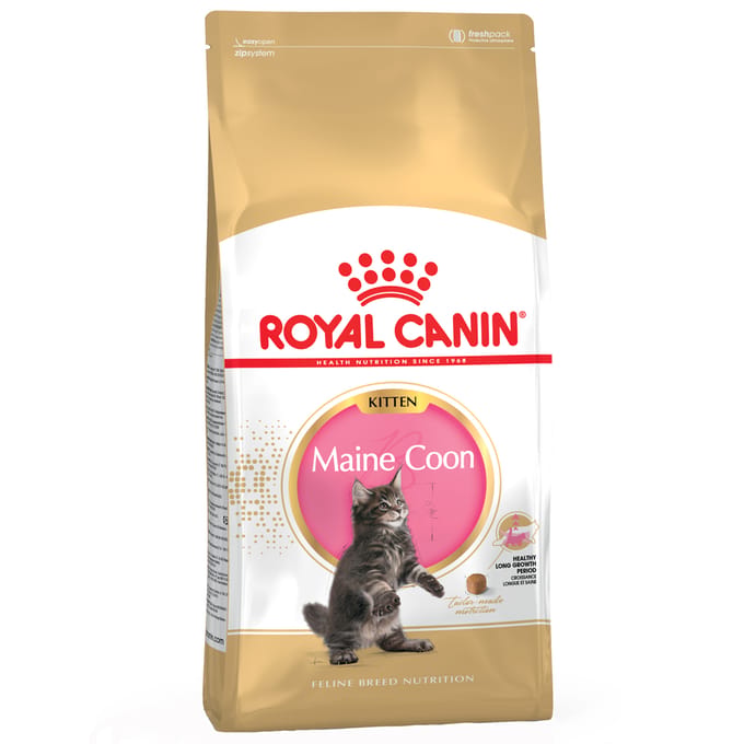 Roya Canin Maine Coon Kitten - Kattenvoer - 4kg