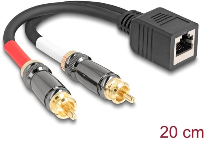 Delock Adapter Cable RJ45 jack to 2 x RCA male black 20 cm