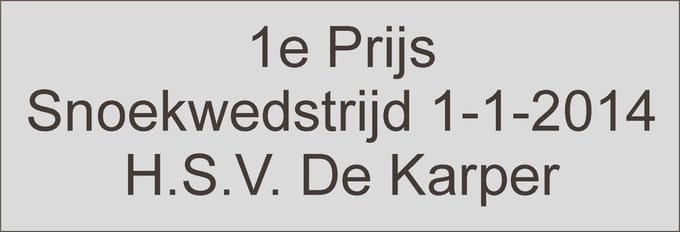 'Graveerplaatje' Sticker 18 x 49 mm Zilver Gepersonaliseerd TekstPlaatje Naamplaatje Tekstlabel Label
