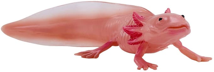 Mojo Wildlife Axolotl 381108