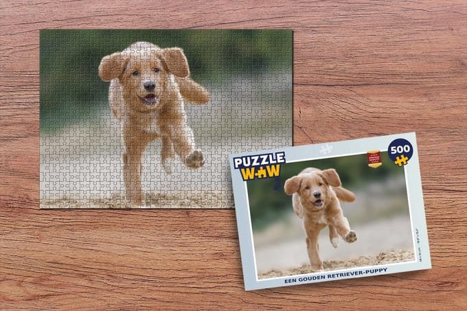 Puzzel Een gouden Retriever-puppy - Legpuzzel - Puzzel 500 stukjes