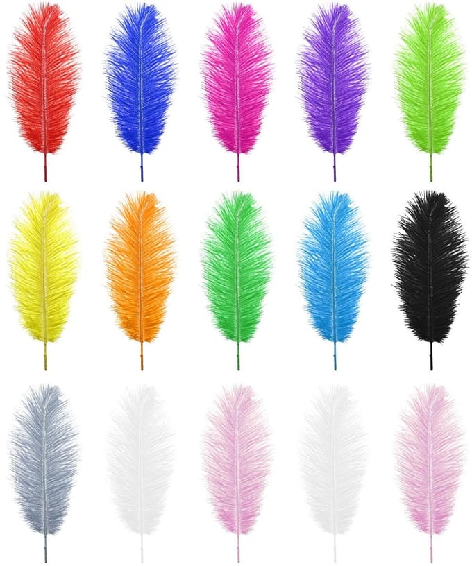 Dailygoods- Struisvogelveren 15 Stuks - Natuurlijke Multi Kleurrijke
