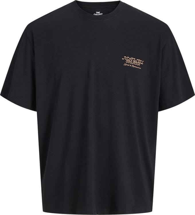 JACK&JONES - JORBOTANIQ TEE SS CREW NECK TG PLS - Heren - T-shirts