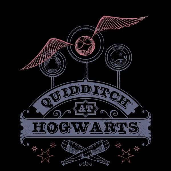 Harry Potter Quidditch At Hogwarts Women's T-Shirt - Black - M