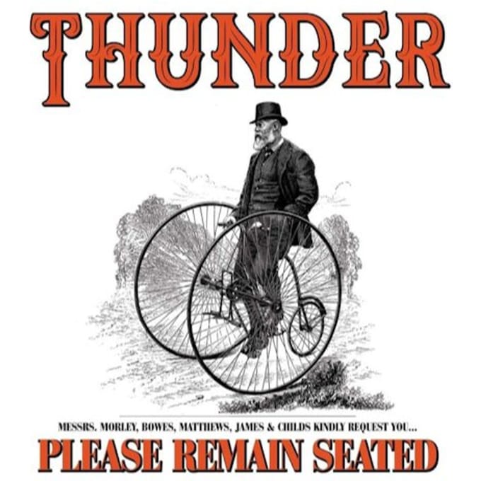 Thunder - Please Remain Seated (CD)