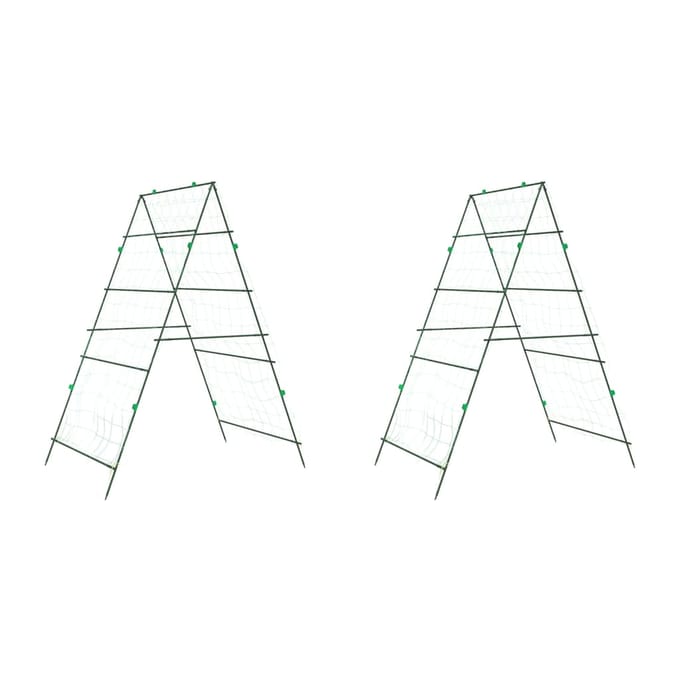 vidaXL - Plantenklimrekken - 2 - st - A-frame - staal