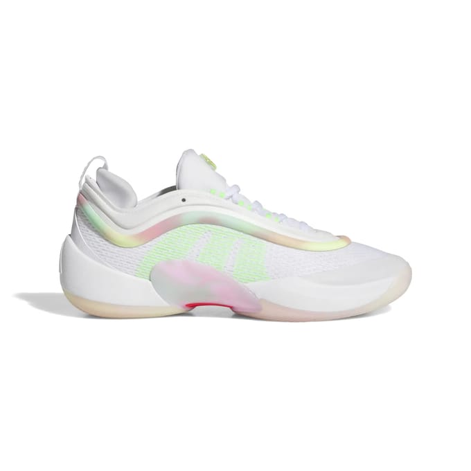 Basketbalschoenen adidas D.O.N. Issue 6