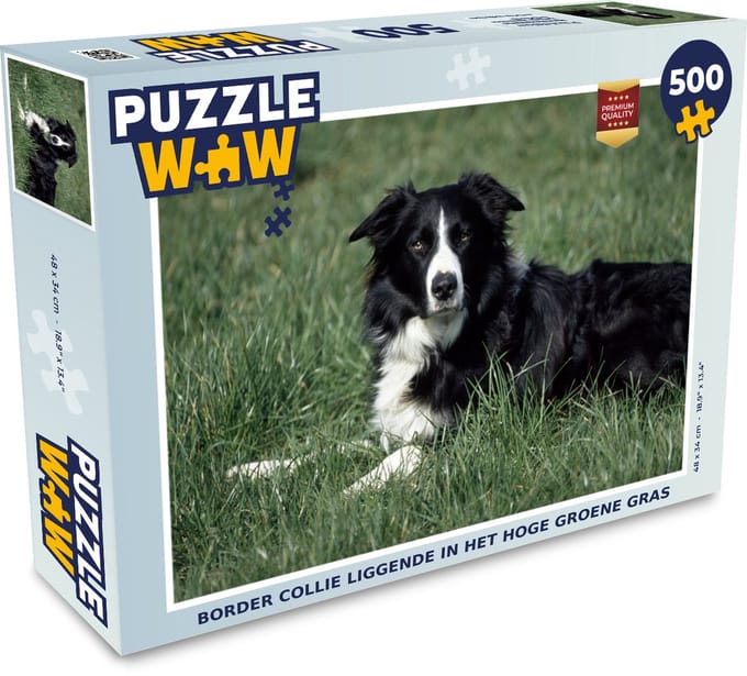 Puzzel Border collie liggende in het hoge groene gras - Legpuzzel - Puzzel 500 stukjes