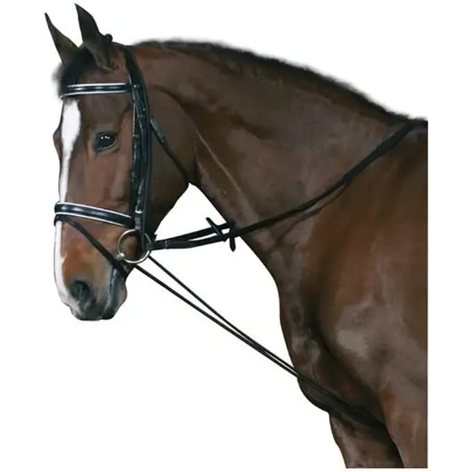 Chambon voor elastisch paard HorseGuard