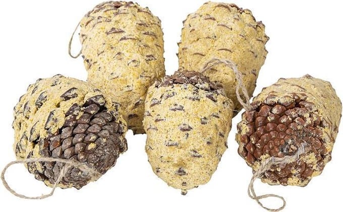 Dennenappels gevuld met vet - 5 stuks - Buitenvogelvoer - Animalking