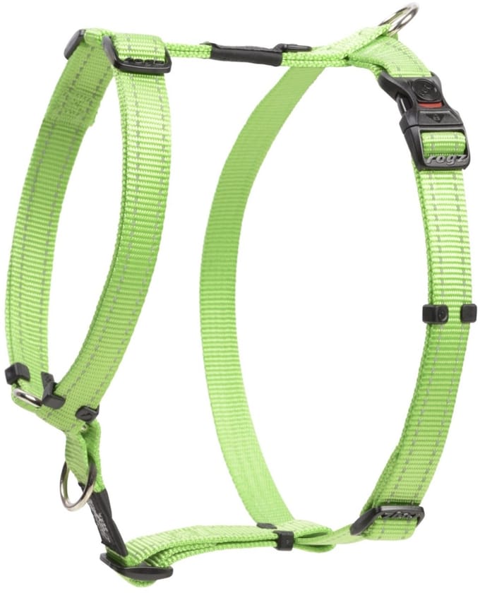 Rogz For Dogs Fanbelt Tuig Lime 20 mmx45-75 cm