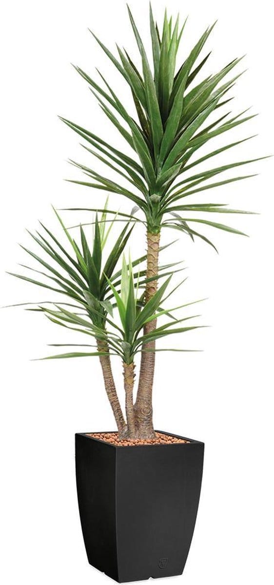 HTT - Kunstplant Yucca in Genesis vierkant antraciet H200 cm