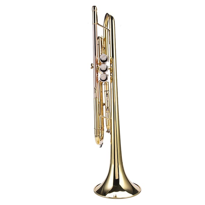 LADE Professionele Bes Messing Trompet Instrument Set Kit Accessoire (Goud) black