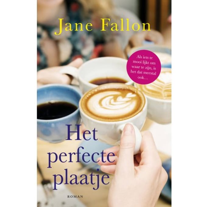 Het Perfecte Plaatje - Jane Fallon