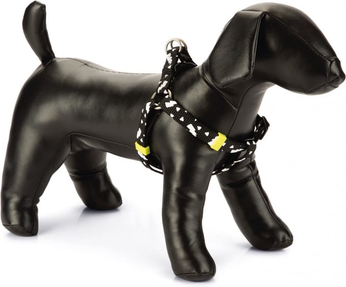 Beeztees Borsttuig Thunder Zwart 26-40cm x 1cm