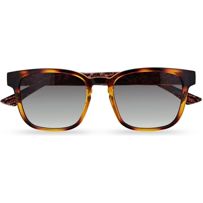 Ted Baker TB1635 Surf 122 polished dark tortoise grey gradient zonnebril