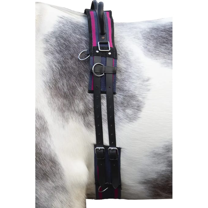 Paardensurfplank met handvat HKM Canvas