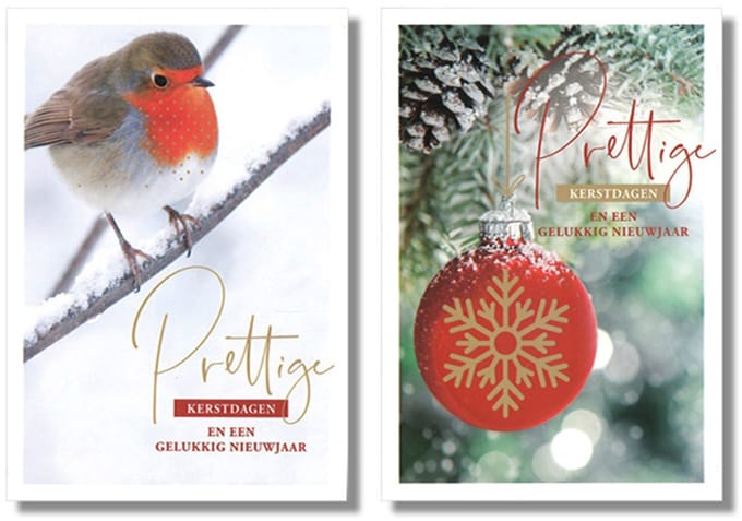 MGPcards - 10 Dubbele wenskaarten - Kerstkaarten / Nieuwjaar - Witte envelop - 10 x 14 cm - 2 Motieven per doosje