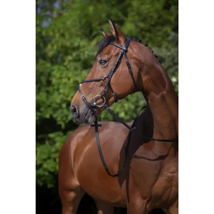Hoofdstellen Riding World Muserolle