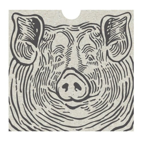 Dierenrijk - Rinske Kegel