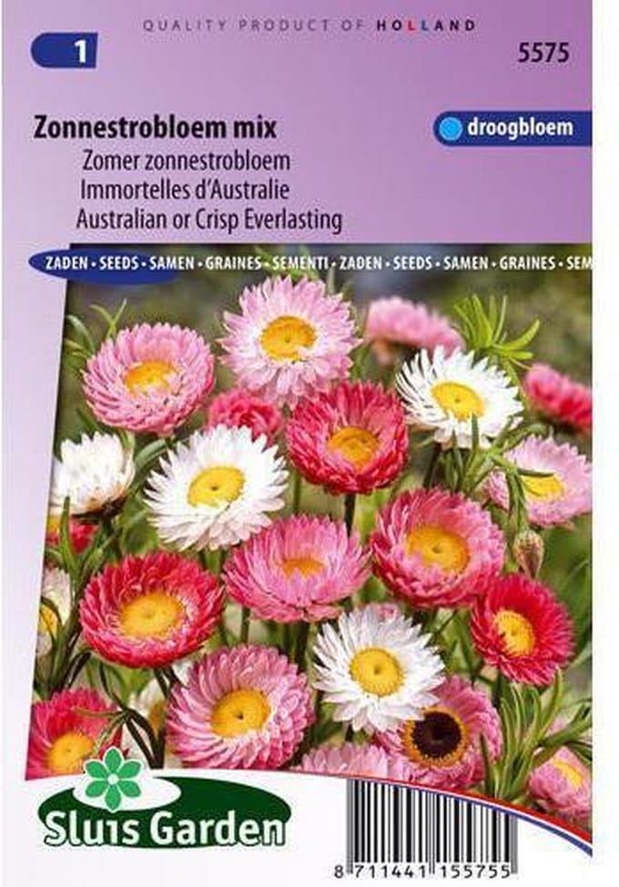 Sluis Garden - Zonnestrobloem gemengd (Helipterum/Acroclinium)