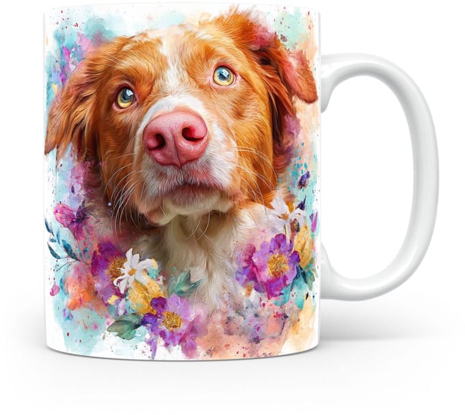 Beker Nova Scotia Duck Tolling Retriever