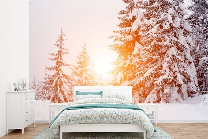 Behang - Fotobehang Zon - Bomen - Sneeuw - Breedte 600 cm x hoogte 400 cm
