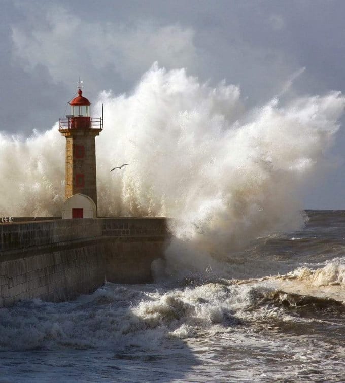 Fotobehang - Lighthouse 225x250cm - Vliesbehang