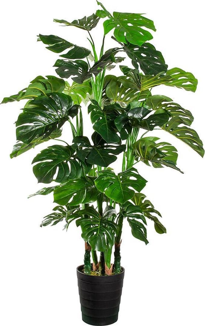 Kunstplant Monstera XL H140cm - HTT Decorations kunstplanten