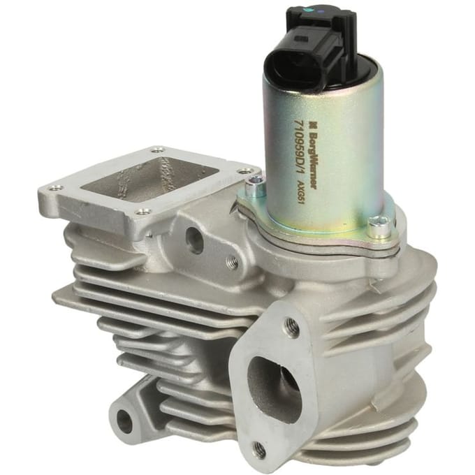 Borg Warner EGR-klep WAHLER WA710959D/1