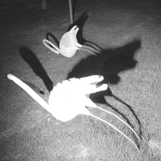 Siavash Amini - A Mimesis Of Nothingness (LP) (Coloured Vinyl)