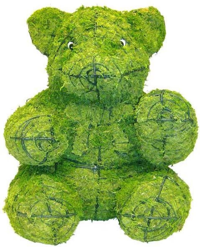 Beer Zittend Teddy - Mos