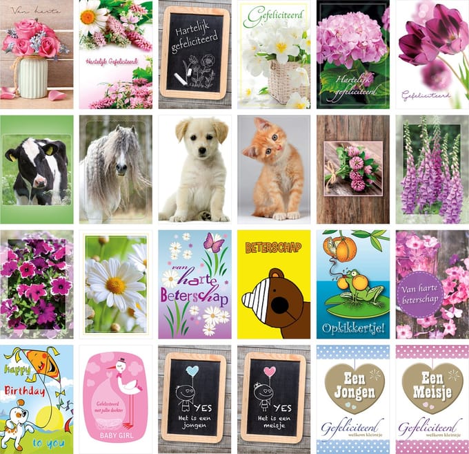 MGPcards - 24 Wenskaarten met envelop - Geboorte - Beterschap - Gefeliciteerd - Zonder Tekst - Dieren - Bloemen