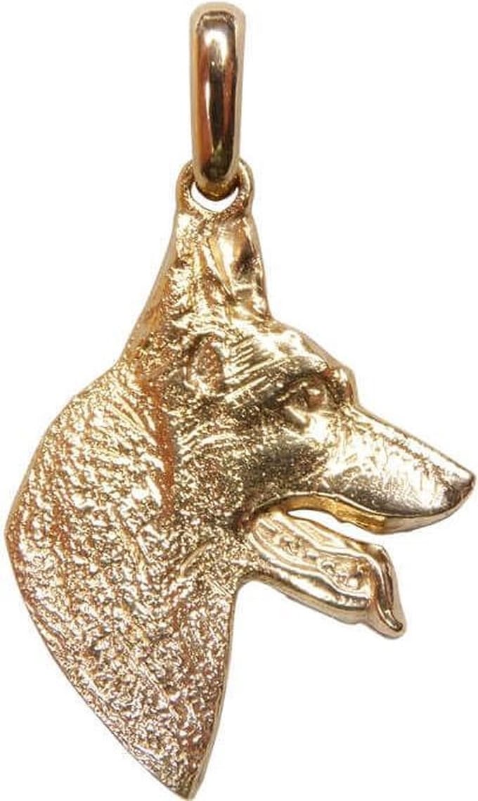 Gouden hond