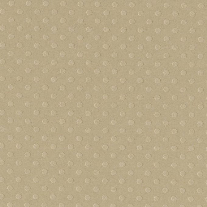 Textuur vel Dotted rope swin - 30x30 cm - Bazzill - 25 Vellen
