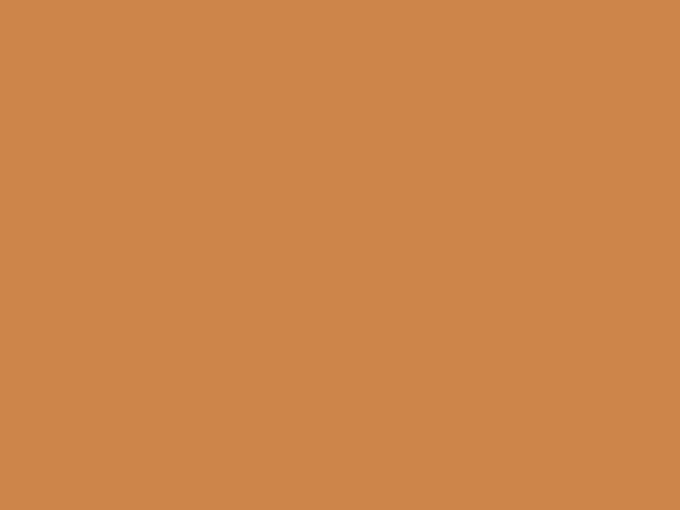 Tekenpapier Folia A4 reebruin - 130gr pak 100 vel