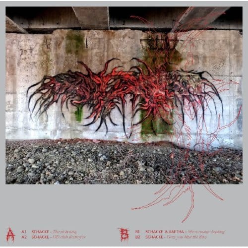 Looks Are Deceiving - Schacke & Anetha