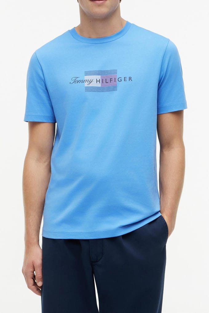 Tommy Hilfiger Script Flag Regular Tee Blue Spell Größe: M | Bedruckte T-Shirts Outlet | Herren | Blau
