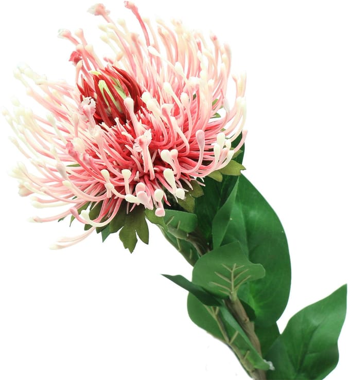 Protea Kunstroze 73cm