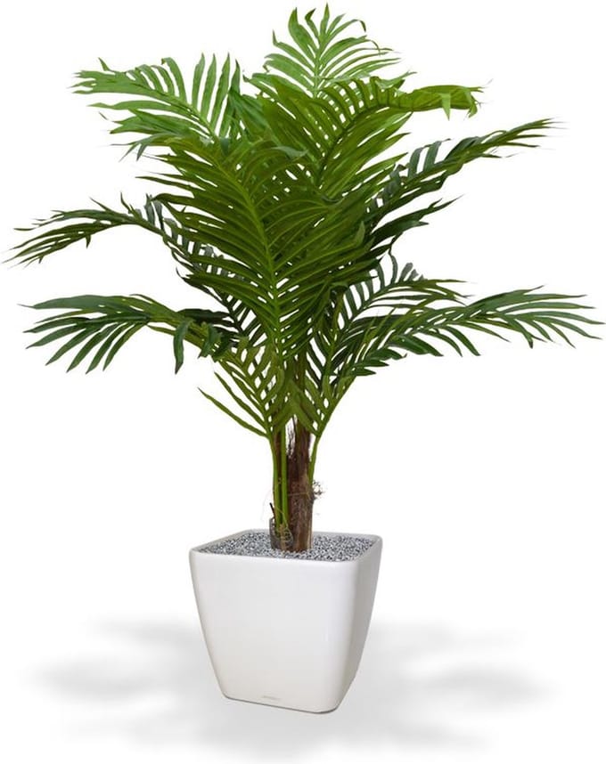 Paradize kunstpalm Promo 100cm